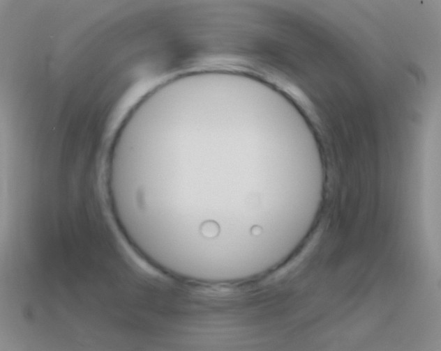 X0000114721470200910211041