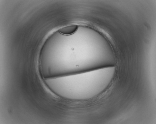 X0000114721471200910211041