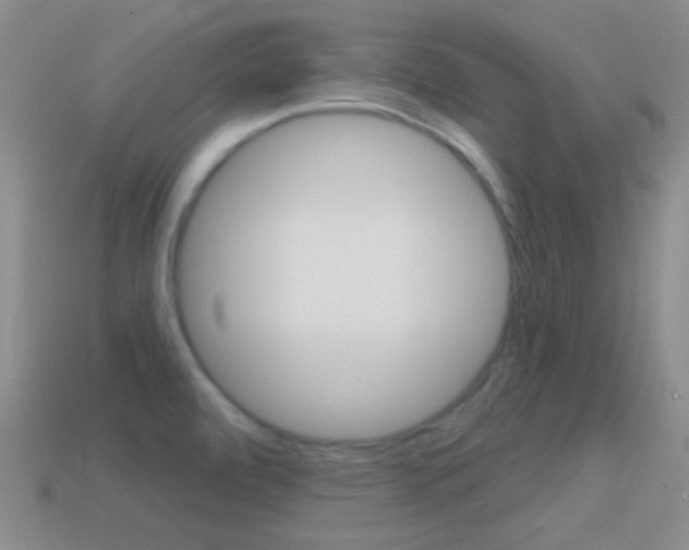X0000114721472200910211041