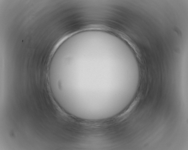 X0000114721473200910211041