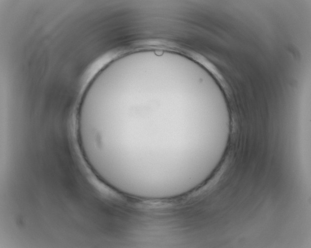 X0000114721474200910211041