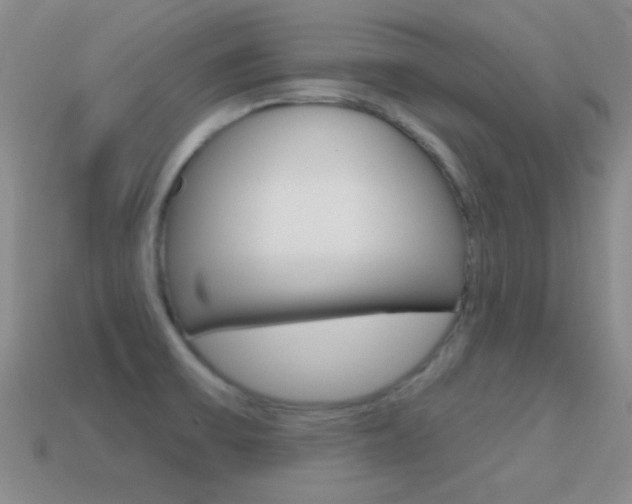 X0000114721475200910211041