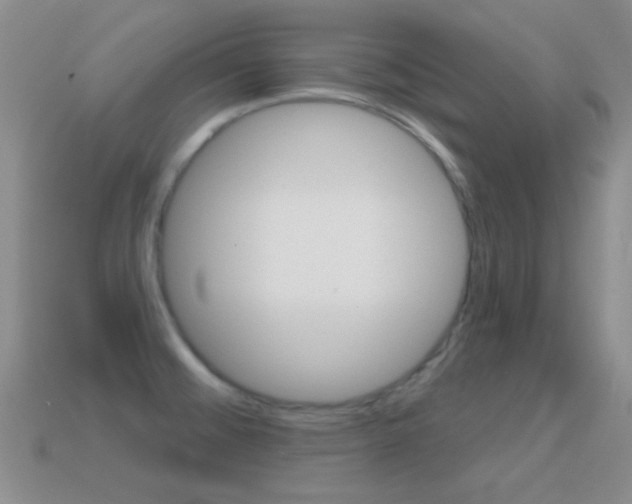 X0000114721476200910211041