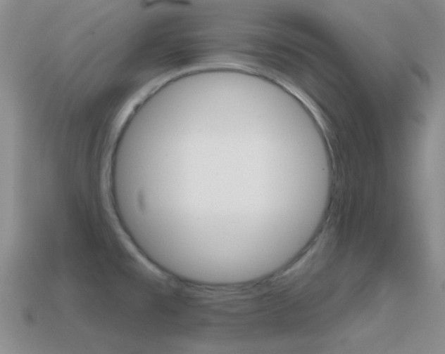 X0000114721477200910211041
