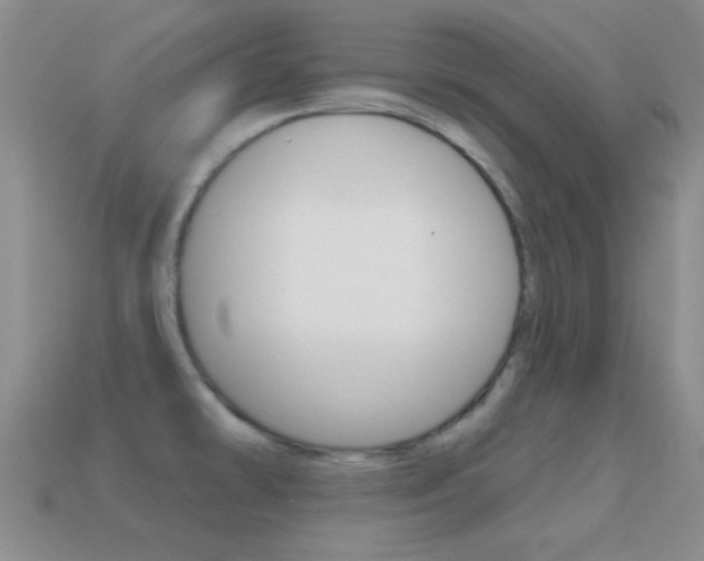 X0000114721478200910211041