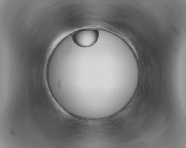 X0000114721480200910211041