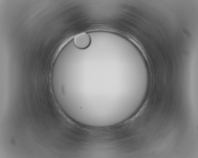X0000114721481200910211041