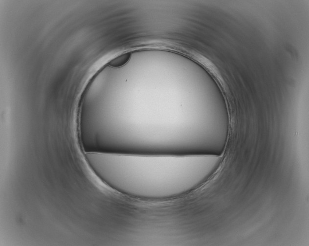 X0000114721482200910211041