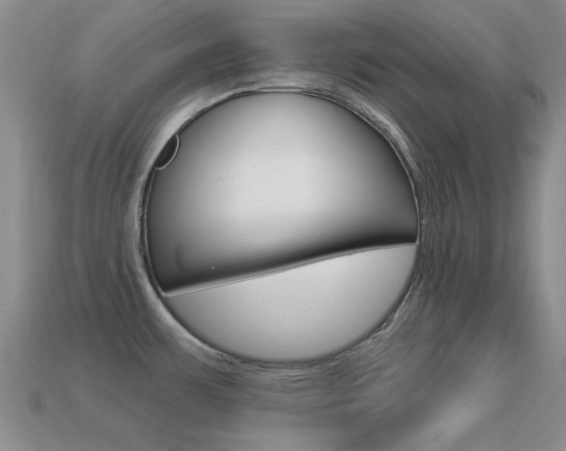 X0000114721483200910211041