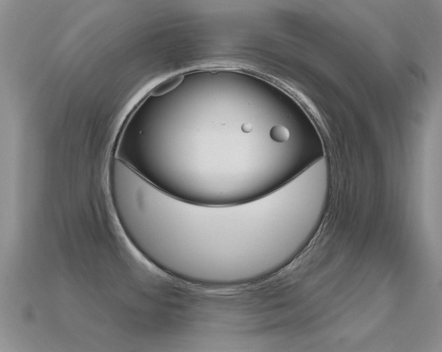 X0000114721484200910211041