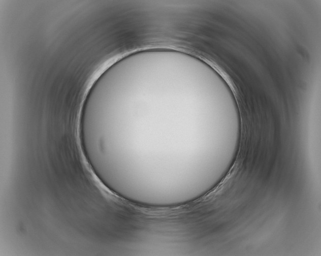 X0000114721485200910211041