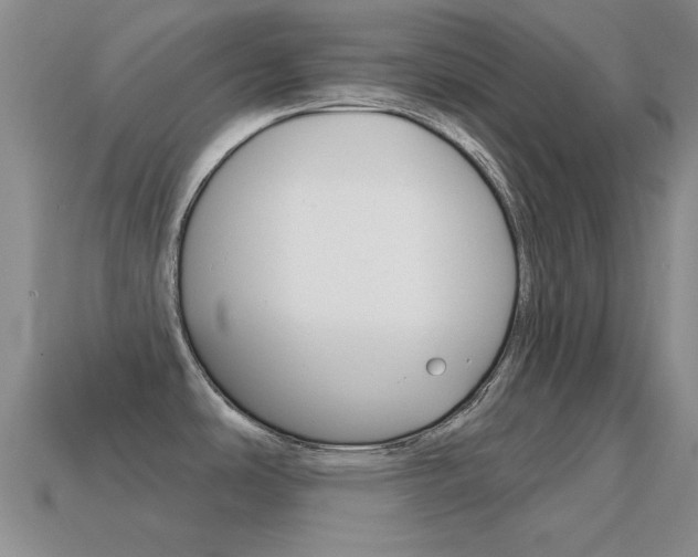 X0000114721486200910211041