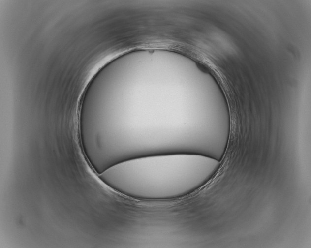 X0000114721487200910211041