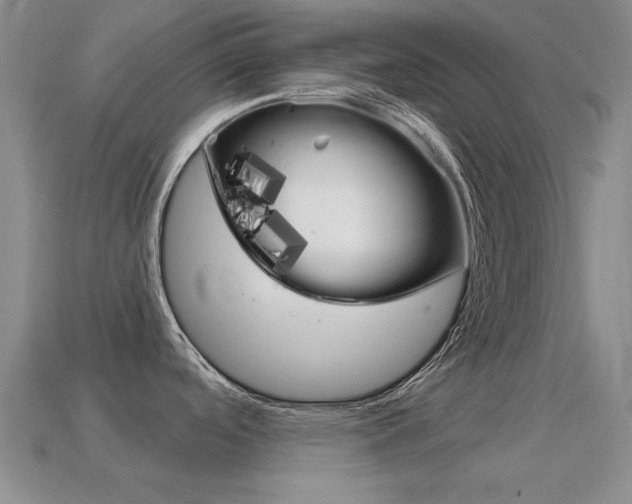 X0000114721488200910211041