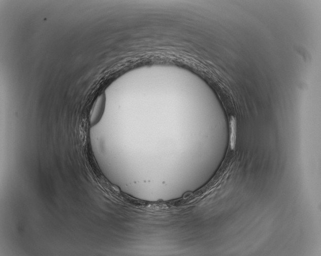 X0000114721491200910211040