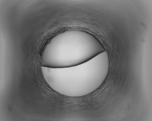 X0000114721493200910211040