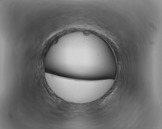 X0000114721494200910211040