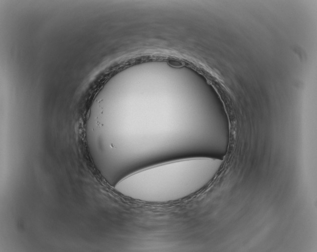 X0000114721495200910211040