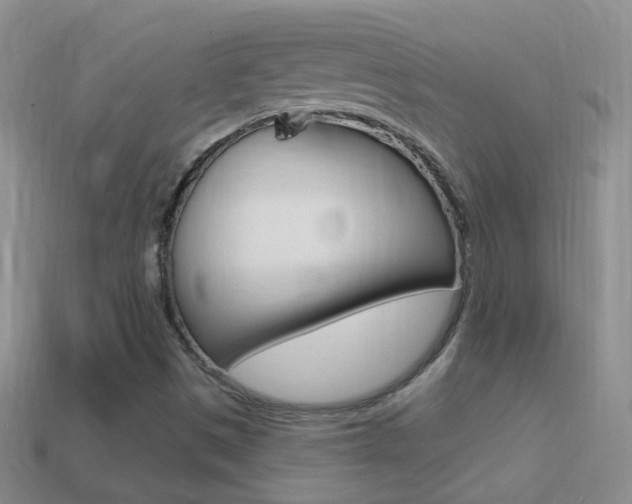 X0000114721497200910211040