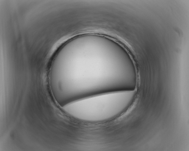 X0000114721501200910211040