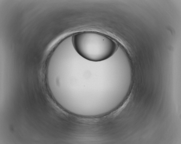 X0000114721502200910211040