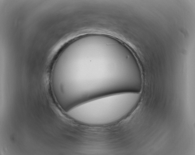 X0000114721503200910211040