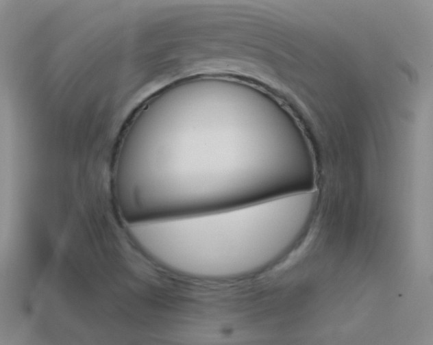 X0000114721505200910211041