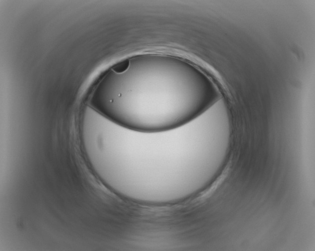 X0000114721506200910211041