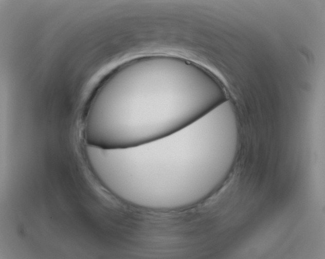 X0000114721507200910211041