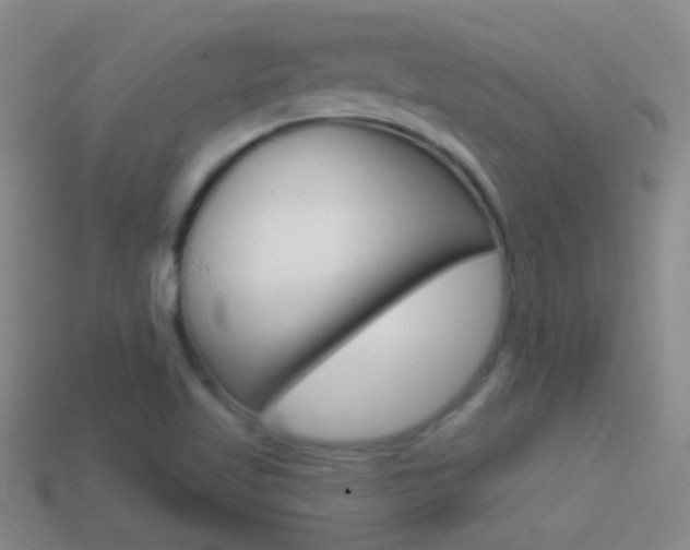 X0000114721509200910211041