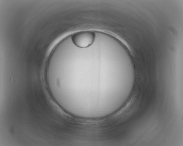 X0000114721510200910211041