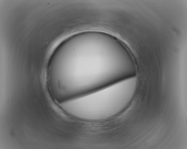 X0000114721511200910211041