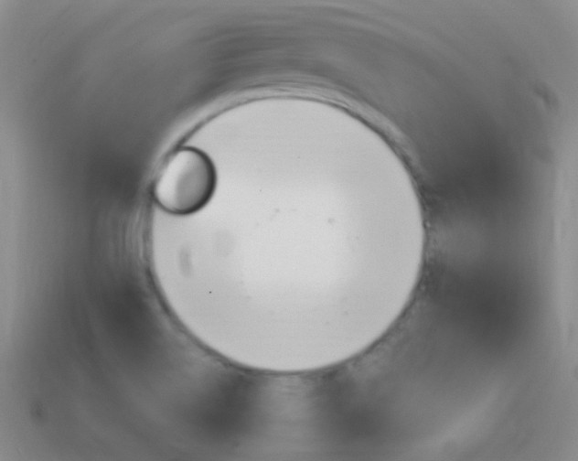 X0000114721514200910211041