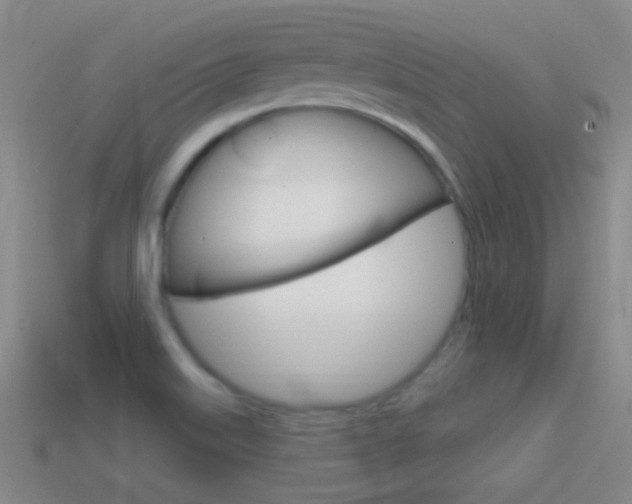 X0000114721515200910211041