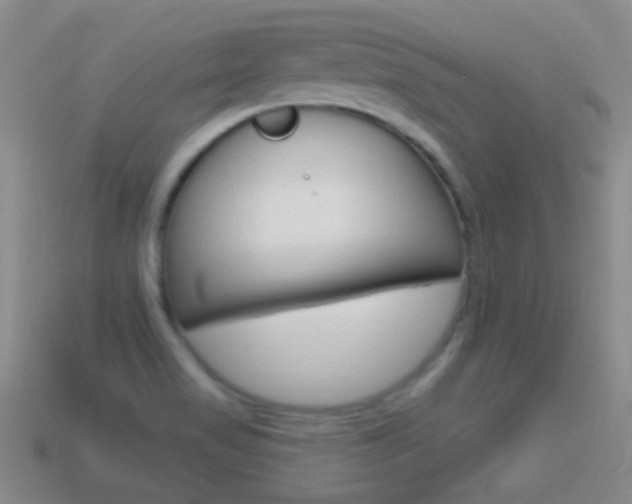 X0000114721517200910211041