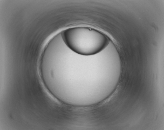 X0000114721518200910211041