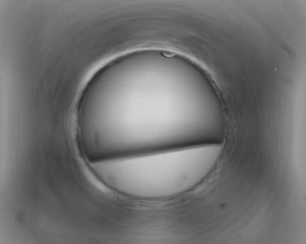 X0000114721519200910211041