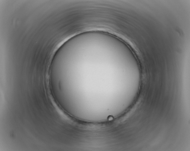X0000114721521200910211041