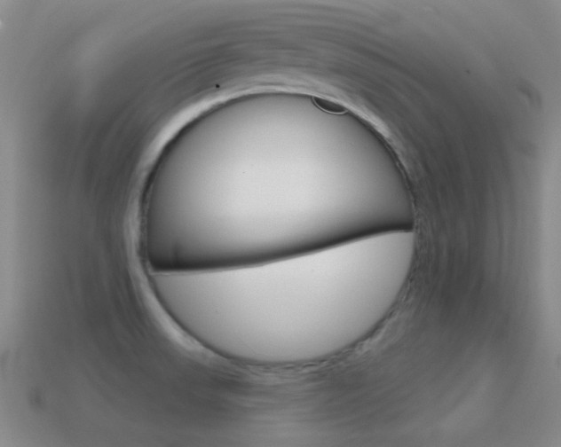 X0000114721523200910211041