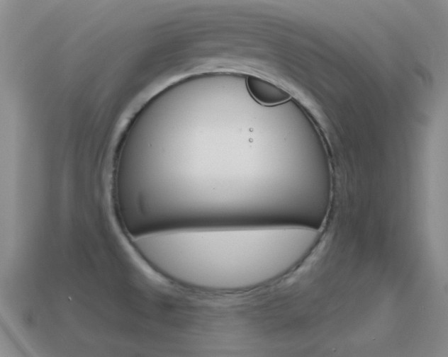 X0000114721525200910211041