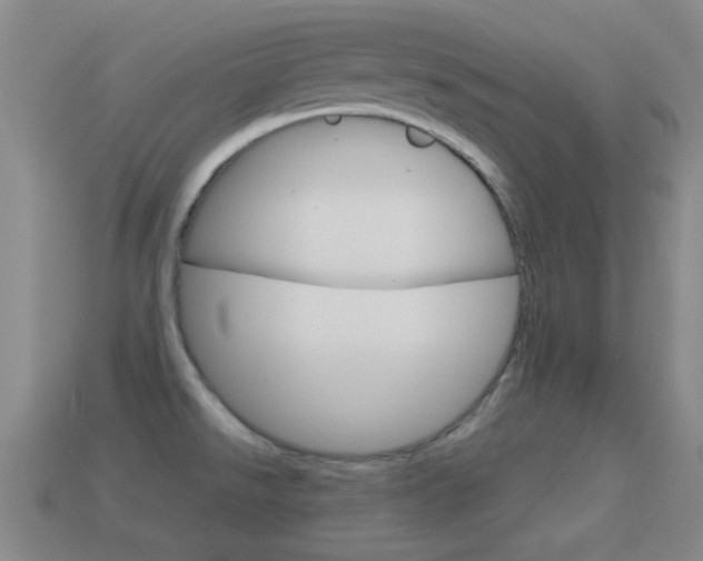 X0000114721526200910211041