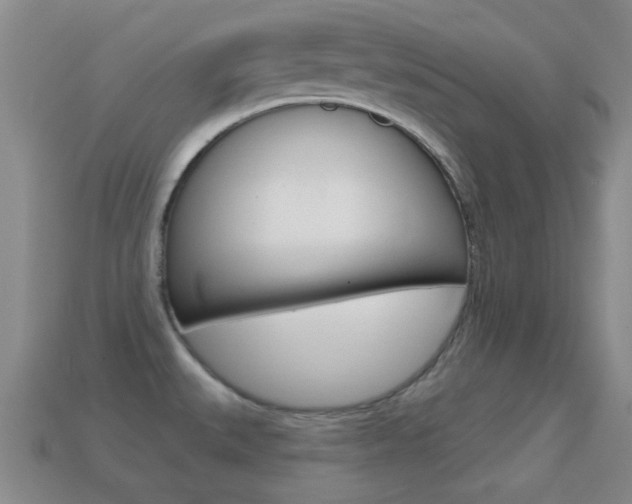 X0000114721527200910211041