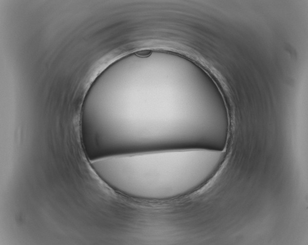X0000114721529200910211041