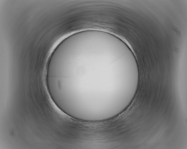 X0000114721531200910211041