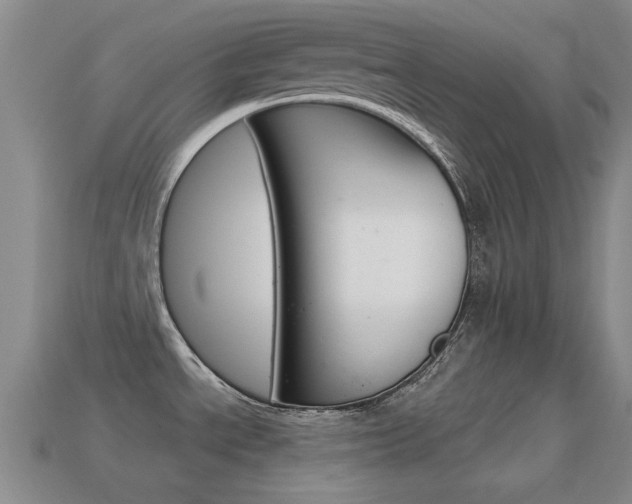 X0000114721534200910211041