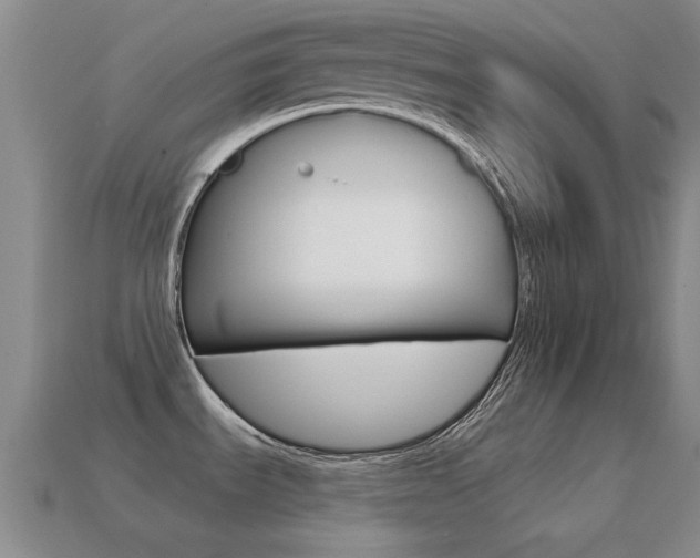 X0000114721535200910211041