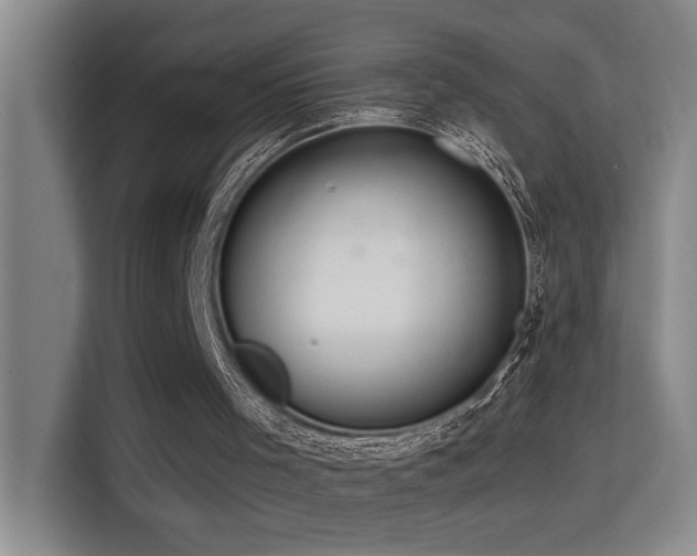 X0000114720001200910211356