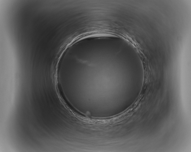 X0000114720002200910211356