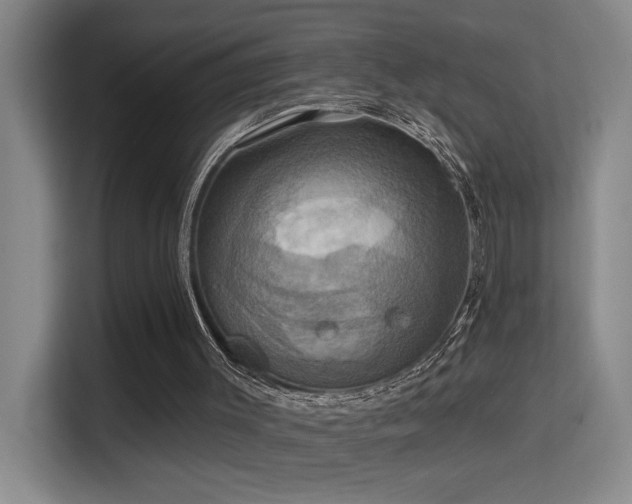 X0000114720003200910211356