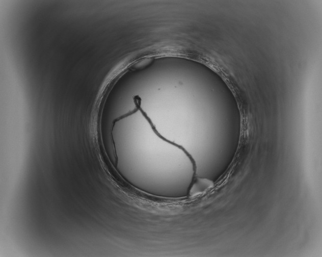 X0000114720004200910211356